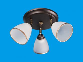 ЭкономСвет.Спот потолочный 11645 / 3WENGE WT - Интернет-магазин бытовой техники, вентиляции, гигиенического оборудования Энерготехника, Екатеринбург