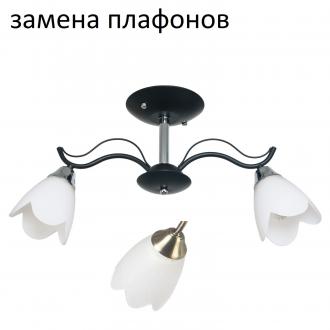 Потолочный светильник ЭкономСвет 50589/2CR+BK WT - Интернет-магазин бытовой техники, вентиляции, гигиенического оборудования Энерготехника, Екатеринбург