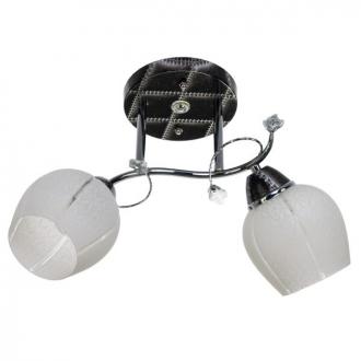 Потолочный светильник ЭкономСвет 2163LM/2 - Интернет-магазин бытовой техники, вентиляции, гигиенического оборудования Энерготехника, Екатеринбург