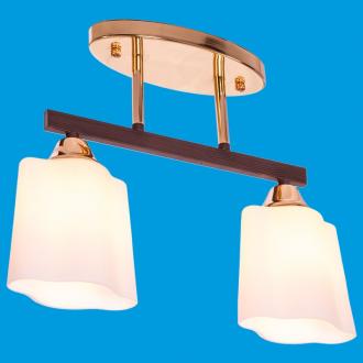 ЭкономСвет.Люстра 33888 / 2FGD + BR WT - Интернет-магазин бытовой техники, вентиляции, гигиенического оборудования Энерготехника, Екатеринбург