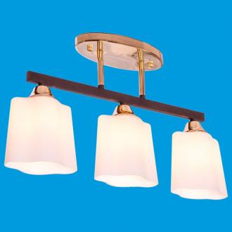 ЭкономСвет.Люстра 33888 / 3FGD + BR WT - Интернет-магазин бытовой техники, вентиляции, гигиенического оборудования Энерготехника, Екатеринбург