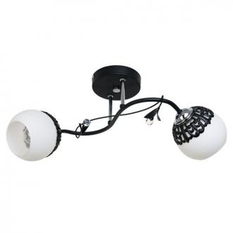 Потолочный светильник ЭкономСвет 50193/2BK WT - Интернет-магазин бытовой техники, вентиляции, гигиенического оборудования Энерготехника, Екатеринбург