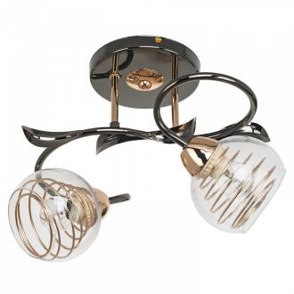 ЭкономСвет.Светильник эконом 70346/2BK+GD CL - Интернет-магазин бытовой техники, вентиляции, гигиенического оборудования Энерготехника, Екатеринбург