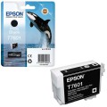 EPSON Картридж струйный (C13T76014010) Epson SC-P600, черный глянцевый, оригинальный - Интернет-магазин бытовой техники, вентиляции, гигиенического оборудования Энерготехника, Екатеринбург