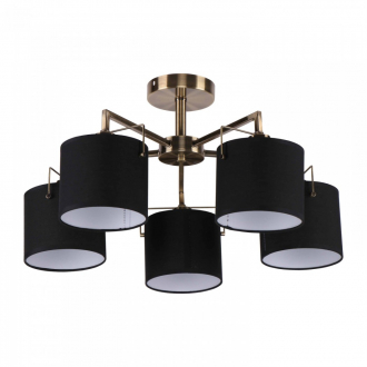 Потолочный светильник  ЭкономСвет 10024/5AB BK+WT - Интернет-магазин бытовой техники, вентиляции, гигиенического оборудования Энерготехника, Екатеринбург