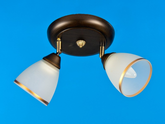 ЭкономСвет.Спот потолочный 11645 / 2WENGE WT - Интернет-магазин бытовой техники, вентиляции, гигиенического оборудования Энерготехника, Екатеринбург