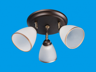 ЭкономСвет.Спот потолочный 11645 / 3WENGE WT - Интернет-магазин бытовой техники, вентиляции, гигиенического оборудования Энерготехника, Екатеринбург