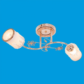 Потолочный светильник ЭкономСвет 1421YX/2FGD WT - Интернет-магазин бытовой техники, вентиляции, гигиенического оборудования Энерготехника, Екатеринбург