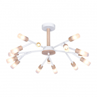 Потолочный светильник  ЭкономСвет 10209/15WT+WD WT - Интернет-магазин бытовой техники, вентиляции, гигиенического оборудования Энерготехника, Екатеринбург