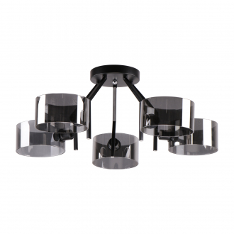 Потолочный светильник  ЭкономСвет 26071/5BK SM - Интернет-магазин бытовой техники, вентиляции, гигиенического оборудования Энерготехника, Екатеринбург