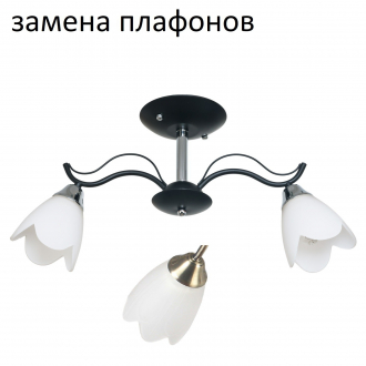 Потолочный светильник ЭкономСвет 50589/2CR+BK WT - Интернет-магазин бытовой техники, вентиляции, гигиенического оборудования Энерготехника, Екатеринбург