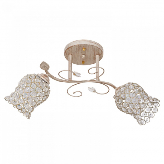 Потолочный светильник ЭкономСвет 2071T/2WG WT+CL - Интернет-магазин бытовой техники, вентиляции, гигиенического оборудования Энерготехника, Екатеринбург