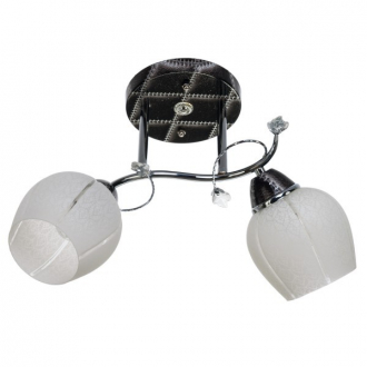 Потолочный светильник ЭкономСвет 2163LM/2 - Интернет-магазин бытовой техники, вентиляции, гигиенического оборудования Энерготехника, Екатеринбург