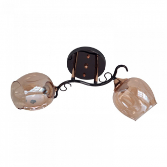 Потолочный светильник  ЭкономСвет 31948/2BK+FGD AMB - Интернет-магазин бытовой техники, вентиляции, гигиенического оборудования Энерготехника, Екатеринбург