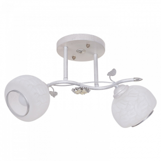 Потолочный светильник  ЭкономСвет 3307/2SL WT+SL - Интернет-магазин бытовой техники, вентиляции, гигиенического оборудования Энерготехника, Екатеринбург