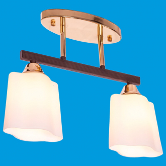 ЭкономСвет.Люстра 33888 / 2FGD + BR WT - Интернет-магазин бытовой техники, вентиляции, гигиенического оборудования Энерготехника, Екатеринбург