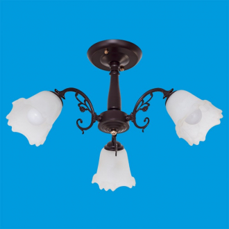 ЭкономСвет.Спот потолочный 457 / 3BR WT - Интернет-магазин бытовой техники, вентиляции, гигиенического оборудования Энерготехника, Екатеринбург