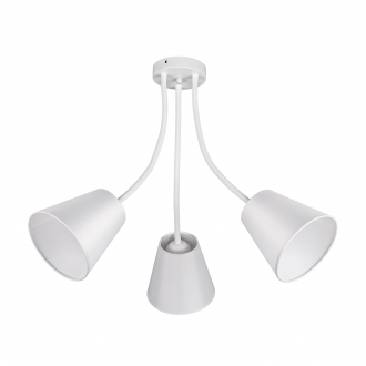 Потолочный светильник  ЭкономСвет 10119/3WT WT - Интернет-магазин бытовой техники, вентиляции, гигиенического оборудования Энерготехника, Екатеринбург