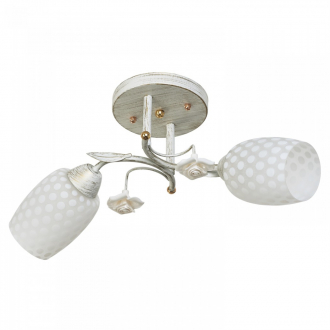 Потолочный светильник  ЭкономСвет 51136/2WT WT - Интернет-магазин бытовой техники, вентиляции, гигиенического оборудования Энерготехника, Екатеринбург