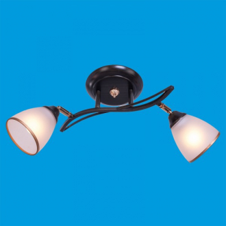 ЭкономСвет.Спот потолочный 53722 / 2WENGE WT - Интернет-магазин бытовой техники, вентиляции, гигиенического оборудования Энерготехника, Екатеринбург