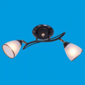 ЭкономСвет.светильник эконом 53722 / 2WENGE WT - Интернет-магазин бытовой техники, вентиляции, гигиенического оборудования Энерготехника, Екатеринбург