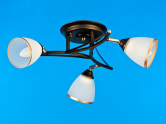 ЭкономСвет.Спот потолочный 53722 / 3WENGE WT - Интернет-магазин бытовой техники, вентиляции, гигиенического оборудования Энерготехника, Екатеринбург