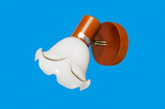 ЭкономСвет.Спот настенный 99024 / 1RDWD WT - Интернет-магазин бытовой техники, вентиляции, гигиенического оборудования Энерготехника, Екатеринбург