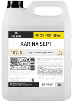 PRO BRITE KARINA SEPT Жидкое бактерицидное мыло 5л - Интернет-магазин бытовой техники, вентиляции, гигиенического оборудования Энерготехника, Екатеринбург